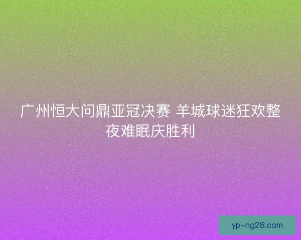 广州恒大问鼎亚冠决赛 羊城球迷狂欢整夜难眠庆胜利