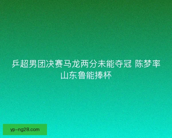 乒超男团决赛马龙两分未能夺冠 陈梦率山东鲁能捧杯